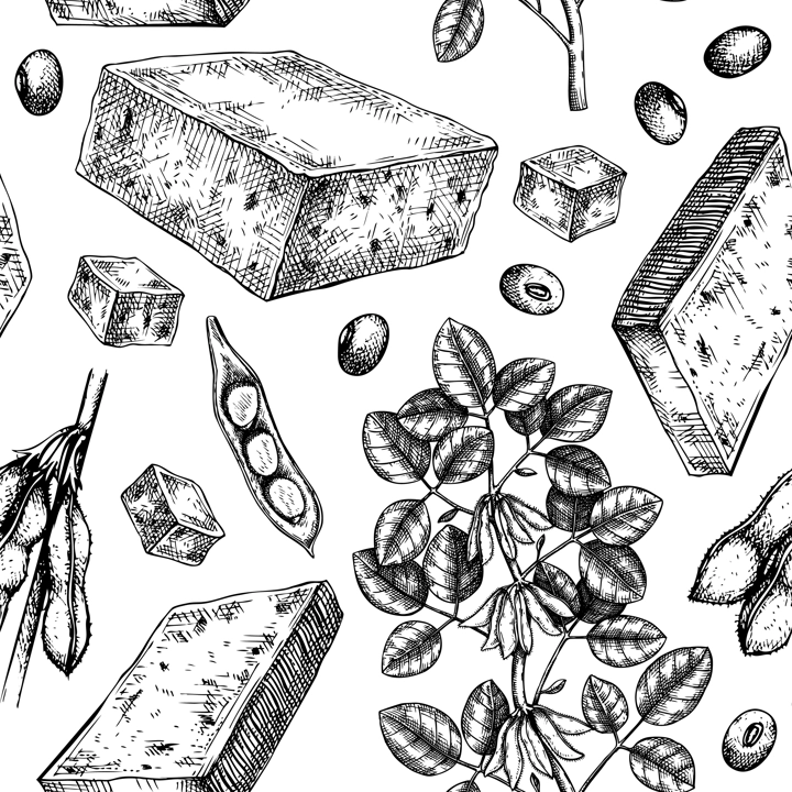 Tofu seamless pattern. Sketched vegan vector food backdrop. Traditional Asian food ingredients. Tofu, soybeans, soya plants background for packaging, wrapping paper and product design